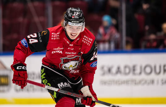 Malmö Redhawks Anton Wahlberg