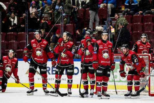 Malmö Redhawks spelare deppar