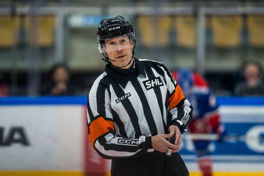 Domare Mikael Sjöqvist