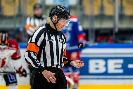 Domare Mikael Sjöqvist