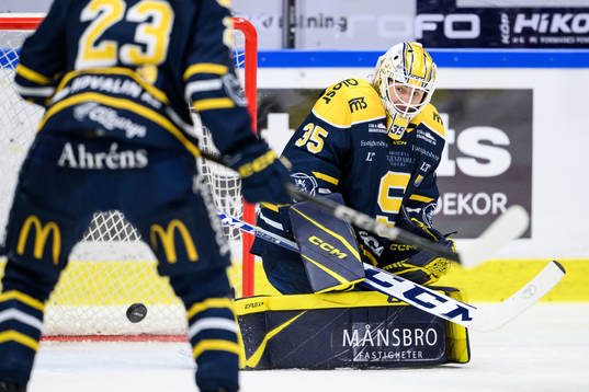 Södertäljes målvakt Tomas Sholl