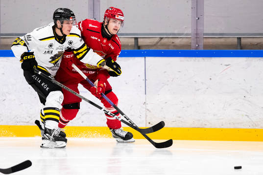 AIKs Dennis Good Bogg och Almtunas William Proos