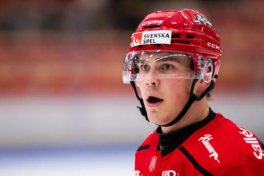 Almtunas Alexander Ljungkrantz