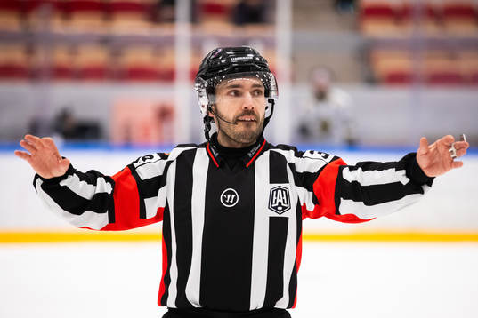 Domare Mattias Enroth