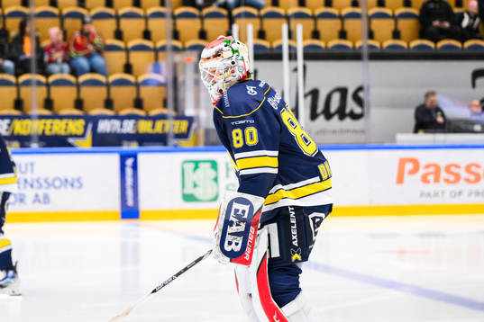 HV71s målvakt Frederik Dichow