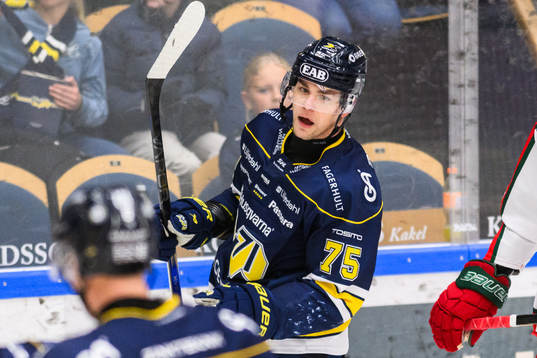 HV71s Radan Lenc jublar