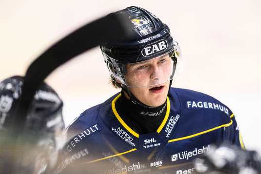 HV71s Henrik Borgström jublar