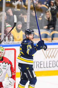 HV71s Radan Lenc  jublar