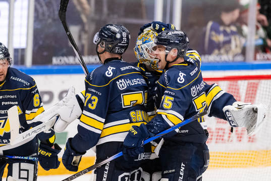 HV71s spelare jublar med målvakt Joni Ortio