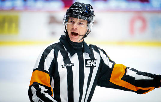 Domare Johan Magnusson