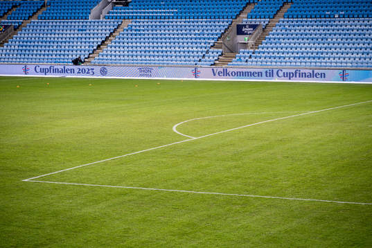 General interior view of the pitch