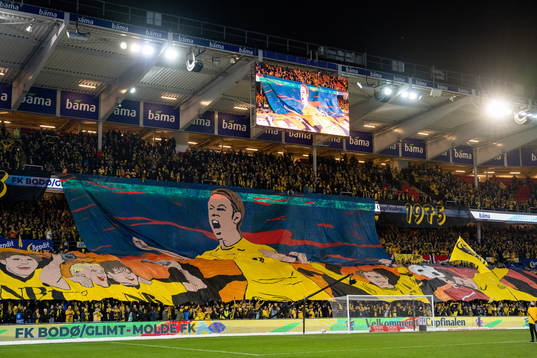 Banners in the stands