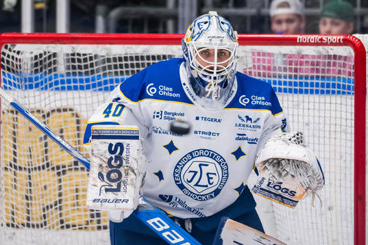 Leksands målvakt Mantas Armalis