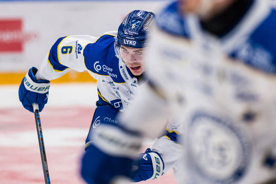 Leksands Alexander Lundqvist