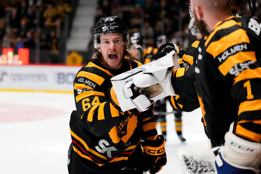 Bläddra bland fler bilder av Ishockey, SHL, Skellefteå - Malmö Redhawks