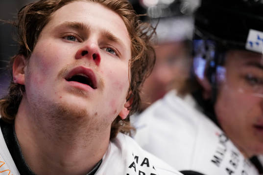 Malmö Redhawks Lauri Pajuniemi