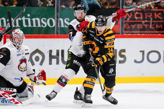 Malmö Redhawks Joakim Ryan och Skellefteås Andreas Johnson