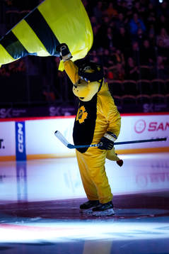 Skellefteås maskot Buddy