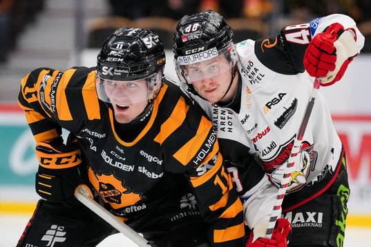 Skellefteås Max Lindholm och Malmö Redhawks Lauri
