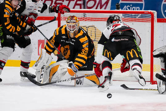 Skellefteås målvakt Linus Söderström