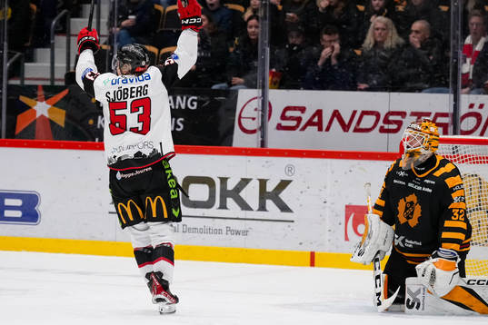 Malmö Redhawks Albert Sjöberg jublar