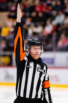 Domare Mikael Holm