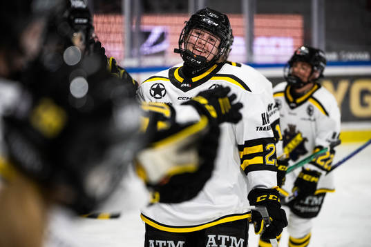 AIKs Elsa Åberg jublar