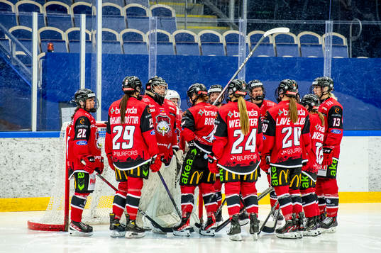 Malmö Redhawks spelare