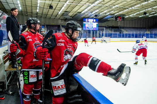 Malmö Redhawks Saga Nederman