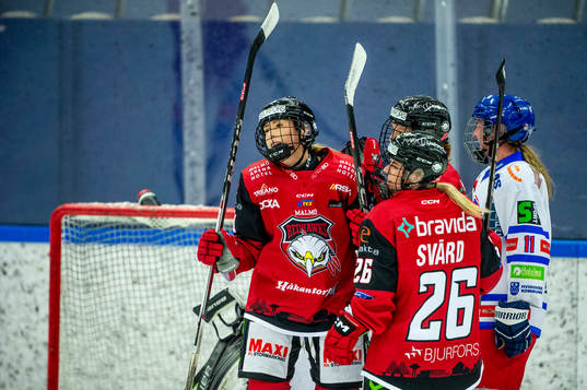 Malmö Redhawks Avery Webster jublar med lagkamraterna