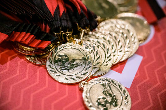 Guldmedaljer