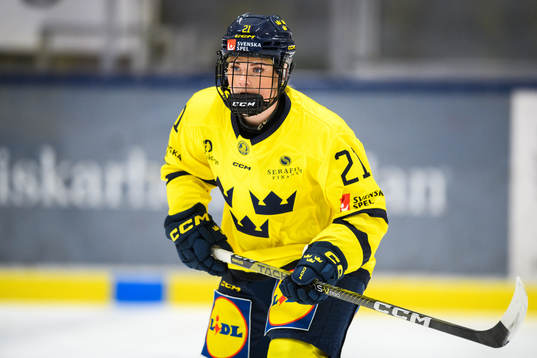 Sveriges Lova Blom