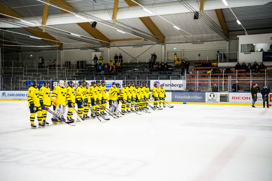 Sveriges spelare