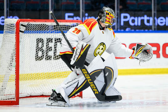 Brynäs målvakt Damian Clara