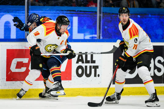 Brynäs Johan Larsson och Miks Indrasis