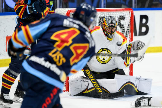 Brynäs målvakt Damian Clara