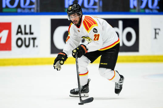 Brynäs Tyler Vesel
