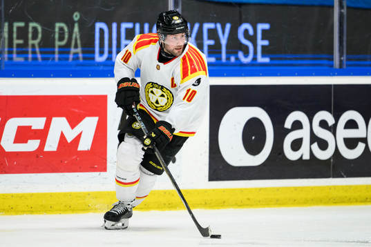 Brynäs Johan Larsson