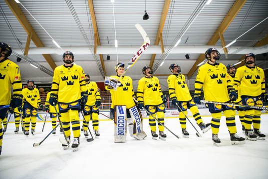 Sveriges spelare jublar