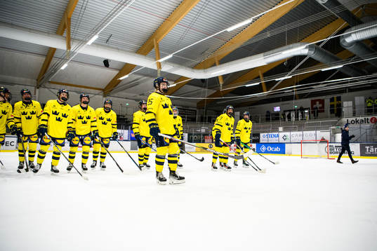 Sveriges spelare jublar