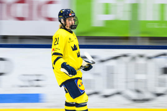 Sveriges Lova Blom
