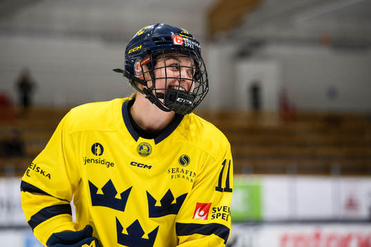 Sveriges Josefin Bouveng