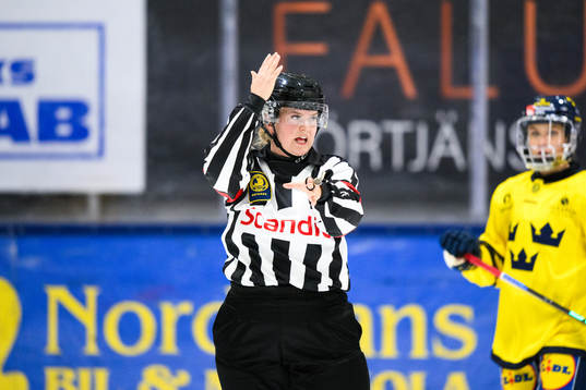 Domare Maria Furberg