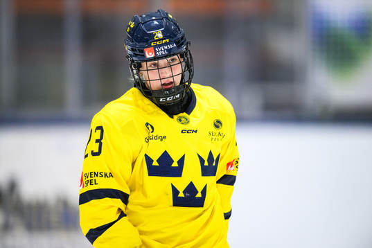 Sveriges Thea Johansson deppar