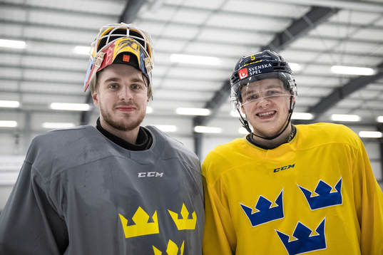 Goaltender Hugo Hävelid and Mattias Hävelid of the