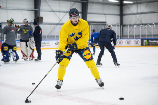 Mattias Hävelid of the Swedish under-20 national ice