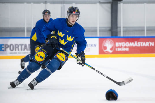 Fabian Wagner of the Swedish under-20 national ice hockey