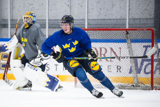 Filip Bystedt of the Swedish under-20 national ice hockey