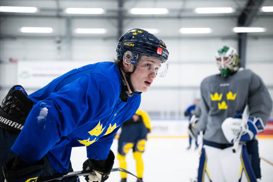Elias Pettersson of the Swedish under-20 national ice