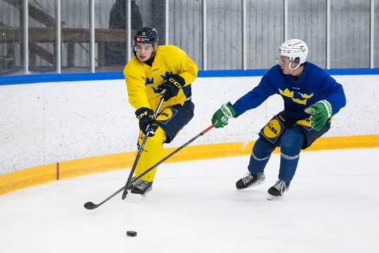Felix Unger Sörum of the Swedish under-20 national ice